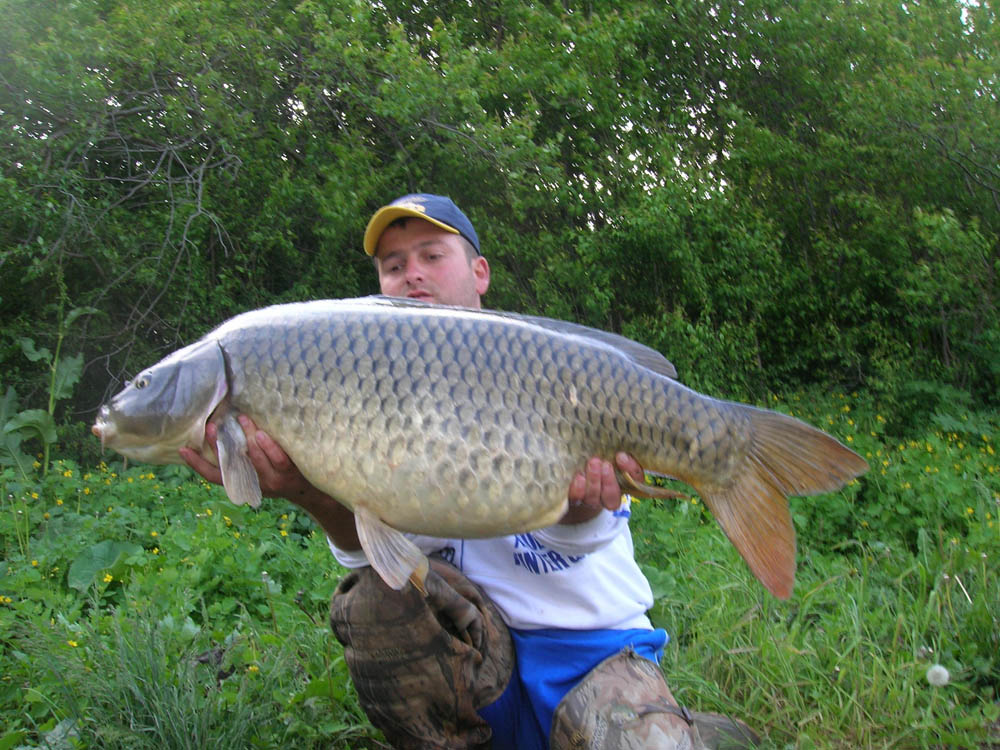 BRIGADA DIVERSE  - DSCN2388.JPG